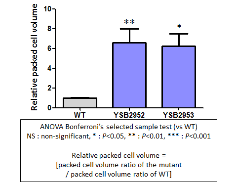 Capsule phenotype for CNAG_03811T0