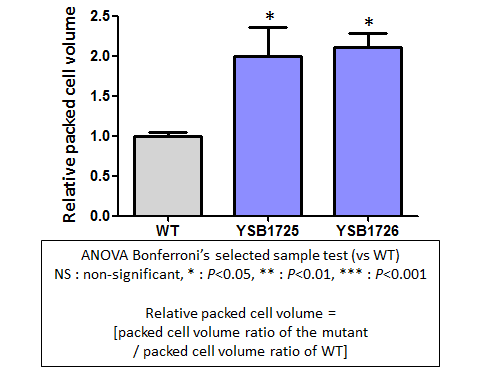 Capsule phenotype for CNAG_03843T0