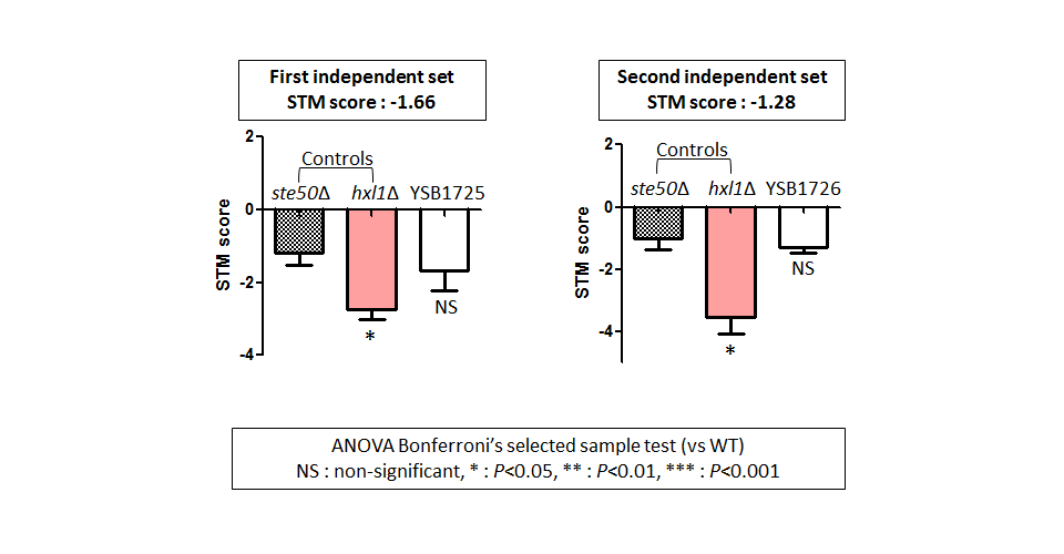 STM murine host model data for CNAG_03843T0