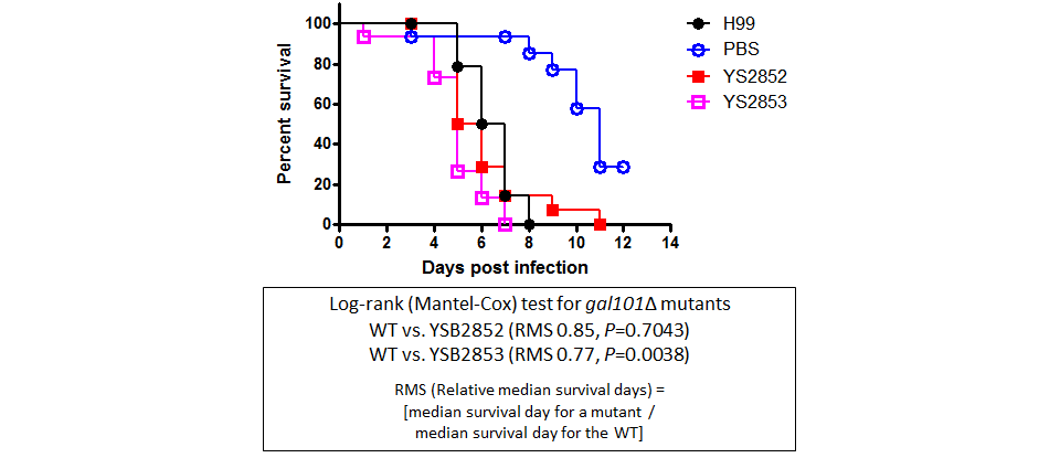 Galleria mellonella virulence data for CNAG_03946T1