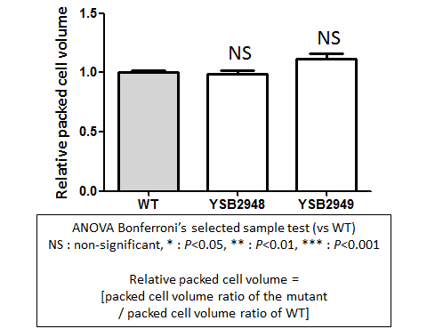 Capsule phenotype for CNAG_04040T0