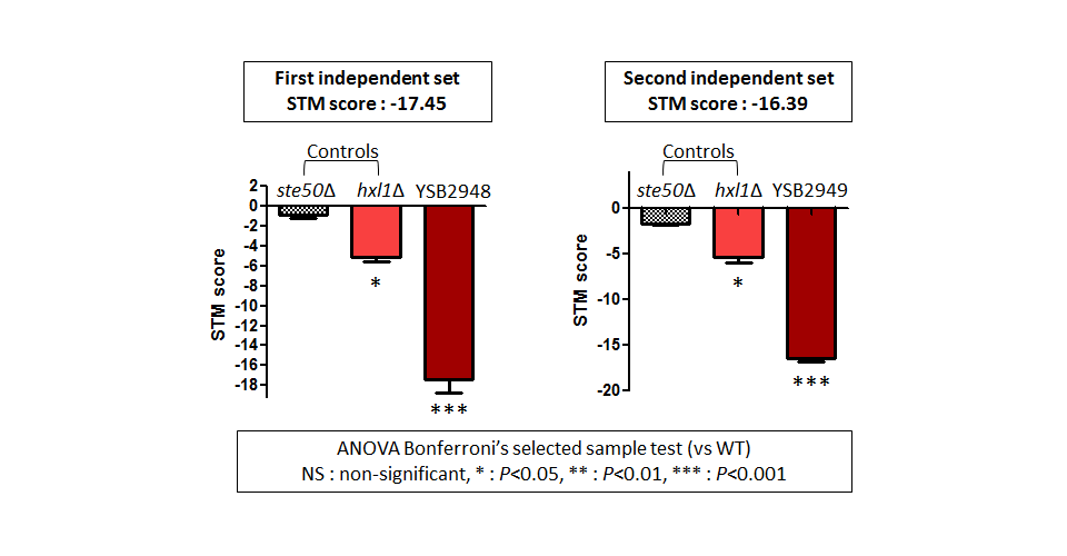 STM murine host model data for CNAG_04040T0