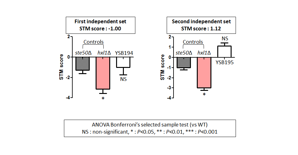 STM murine host model data for CNAG_04162T0