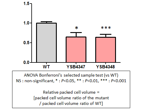 Capsule phenotype for CNAG_04191T0
