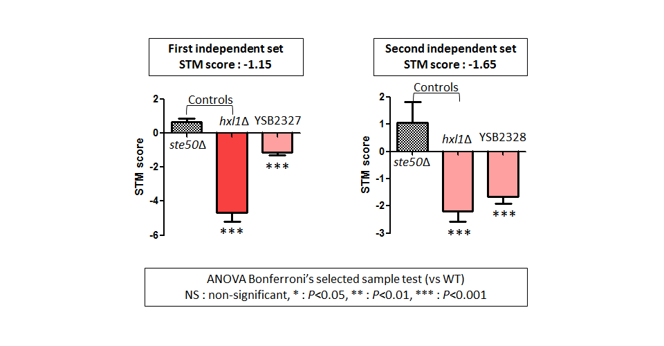 STM murine host model data for CNAG_04191T0