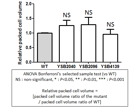 Capsule phenotype for CNAG_04197T0