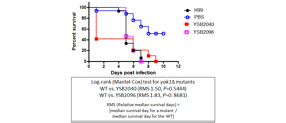 Galleria mellonella virulence data for CNAG_04197T0