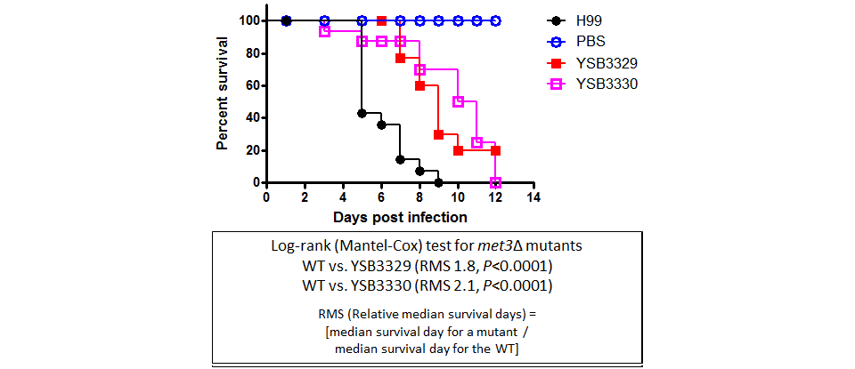 Galleria mellonella virulence data for CNAG_04215T0