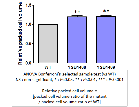 Capsule phenotype for CNAG_04230T0