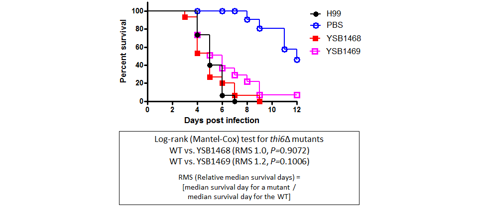 Galleria mellonella virulence data for CNAG_04230T0