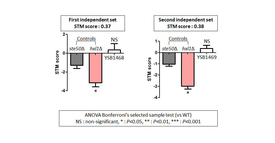 STM murine host model data for CNAG_04230T0