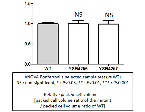 Capsule phenotype for CNAG_04272T0