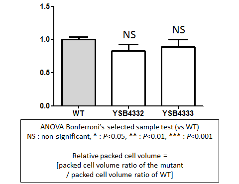 Capsule phenotype for CNAG_04314T1