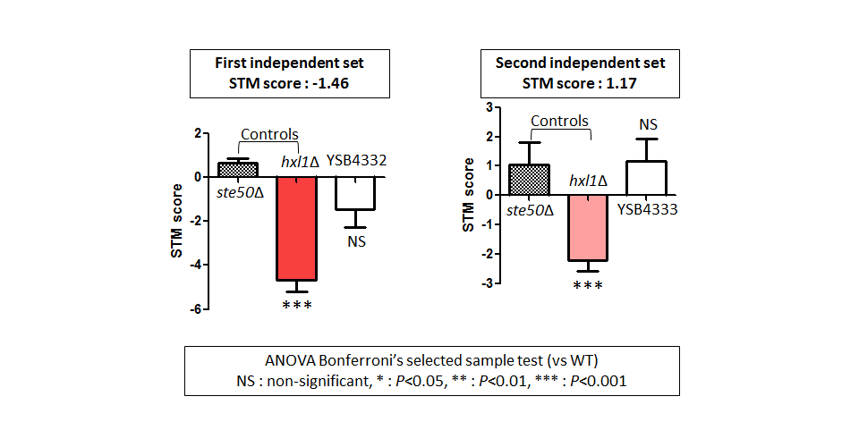 STM murine host model data for CNAG_04314T1