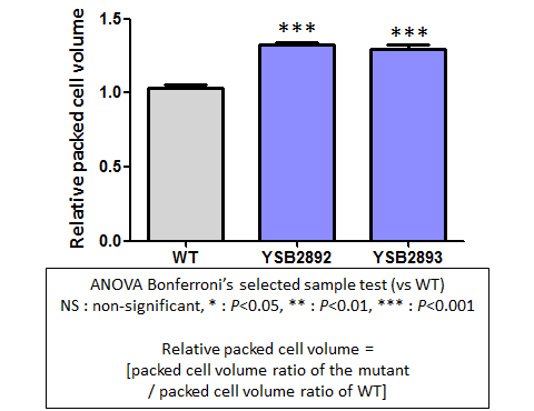 Capsule phenotype for CNAG_04316T0