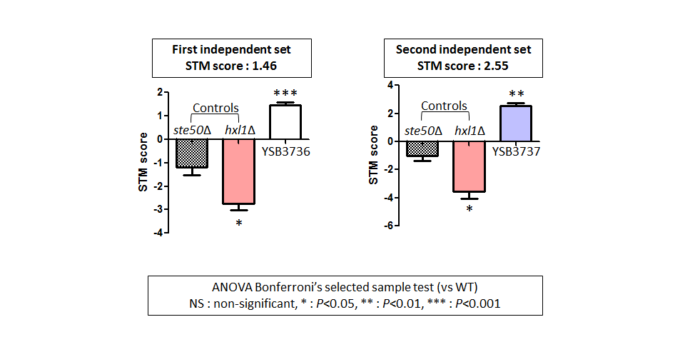 STM murine host model data for CNAG_04433T0
