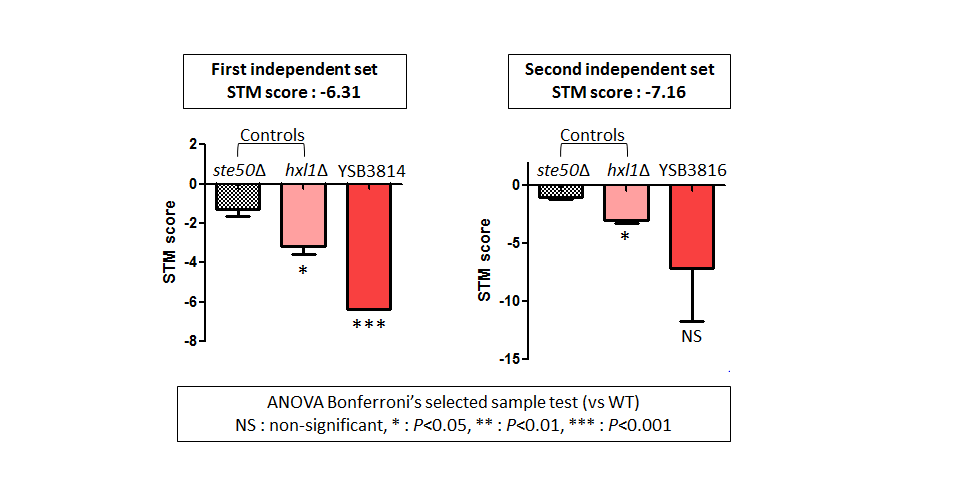STM murine host model data for CNAG_04514T0