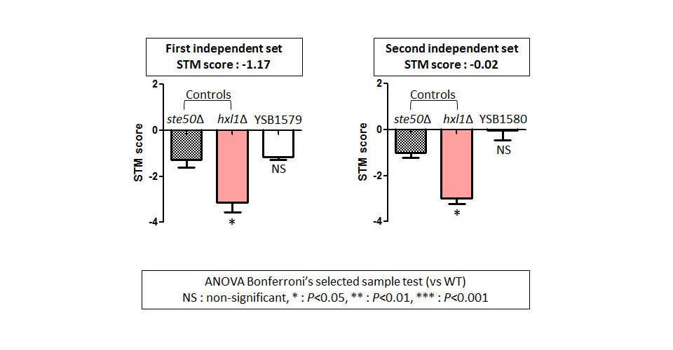 STM murine host model data for CNAG_04631T0