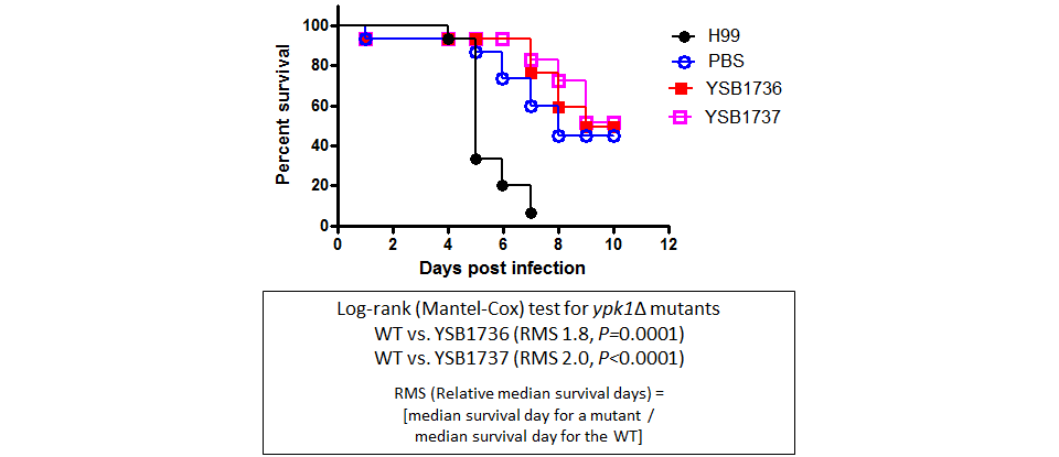 Galleria mellonella virulence data for CNAG_04678T0