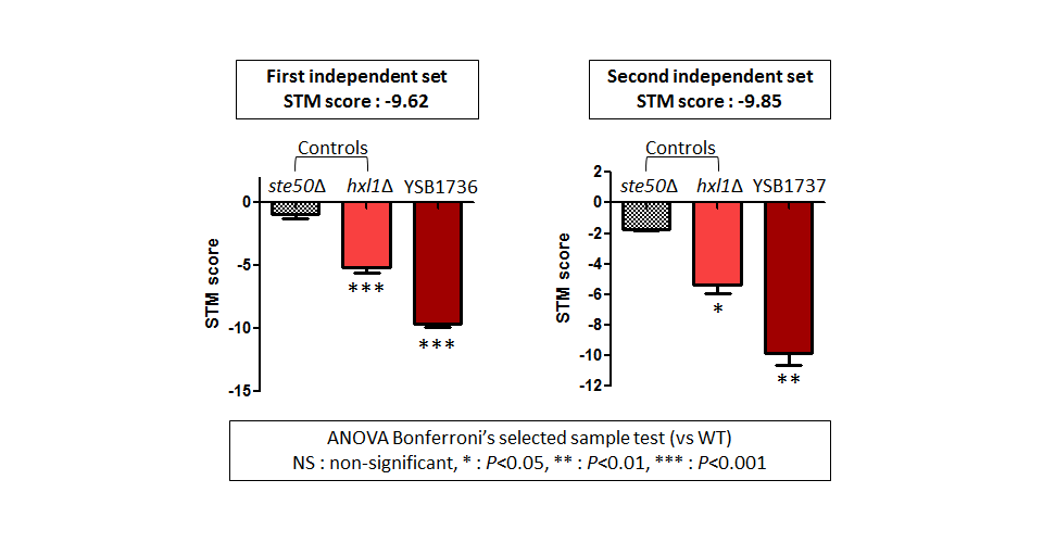 STM murine host model data for CNAG_04678T0