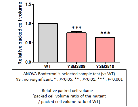 Capsule phenotype for CNAG_04821T0