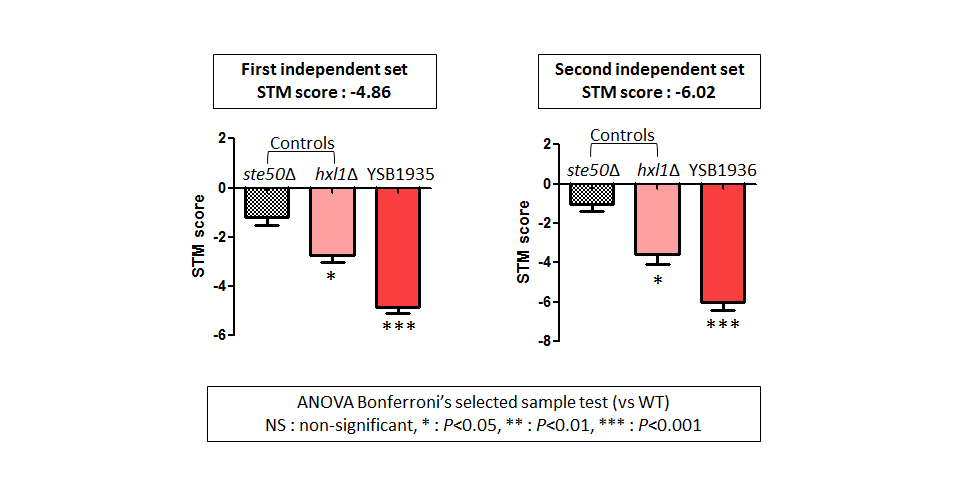 STM murine host model data for CNAG_05005T0