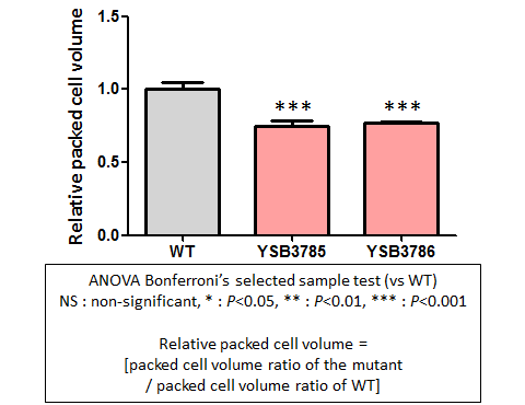 Capsule phenotype for CNAG_05216T0