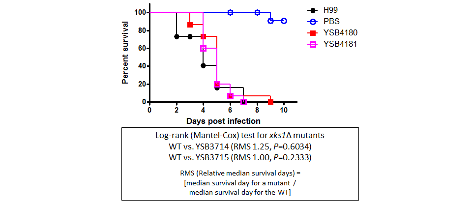 Galleria mellonella virulence data for CNAG_05243T0