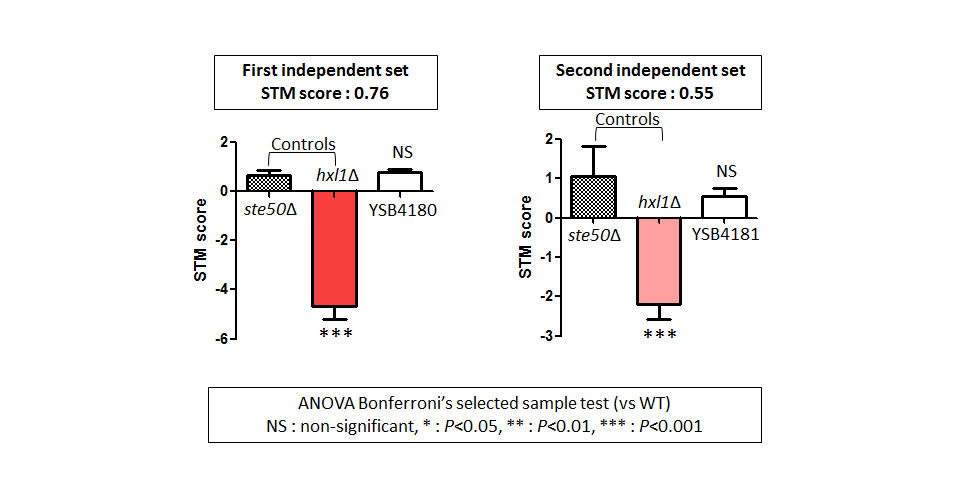 STM murine host model data for CNAG_05243T0