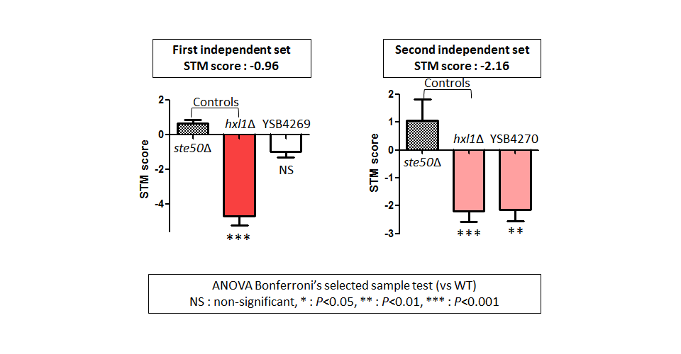 STM murine host model data for CNAG_05386T0