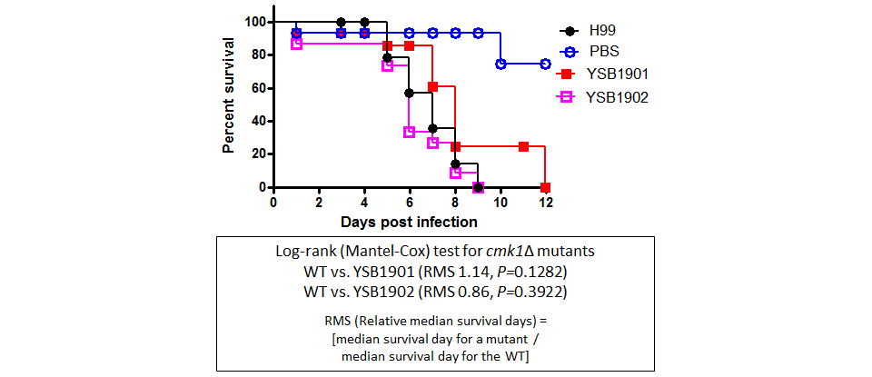 Galleria mellonella virulence data for CNAG_05439T0