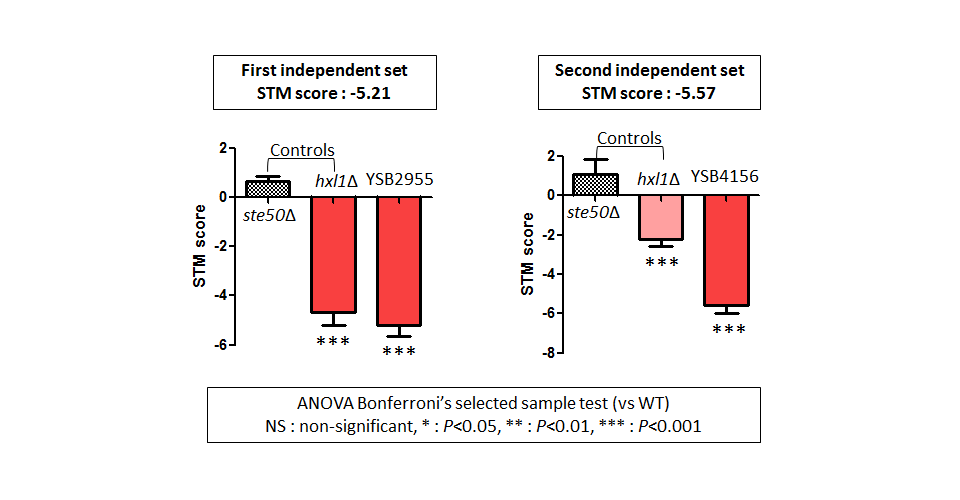 STM murine host model data for CNAG_05558T0