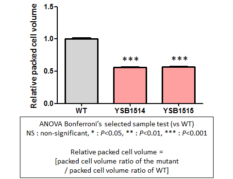 Capsule phenotype for CNAG_05600T0