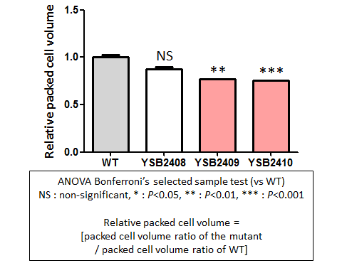 Capsule phenotype for CNAG_05753T1