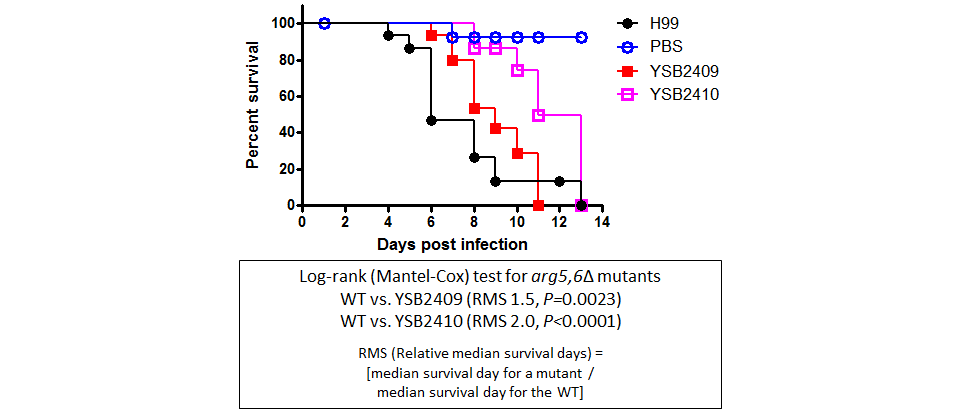Galleria mellonella virulence data for CNAG_05753T1