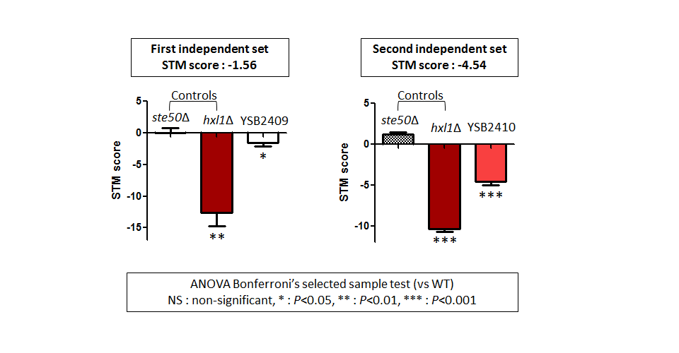 STM murine host model data for CNAG_05753T1