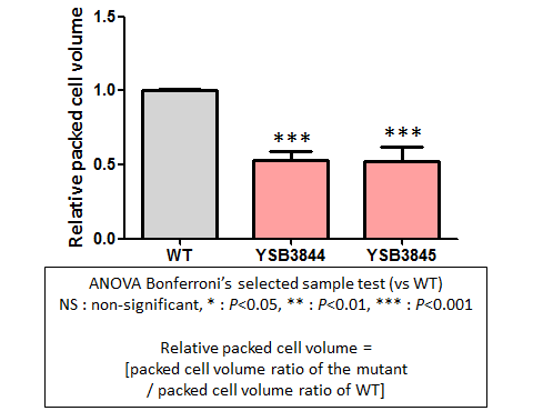 Capsule phenotype for CNAG_05771T0