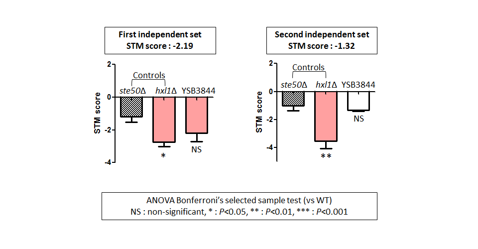 STM murine host model data for CNAG_05771T0