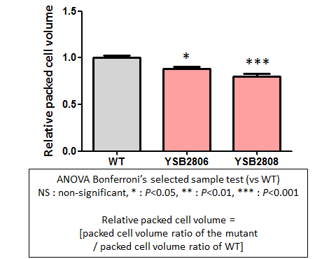 Capsule phenotype for CNAG_05965T0