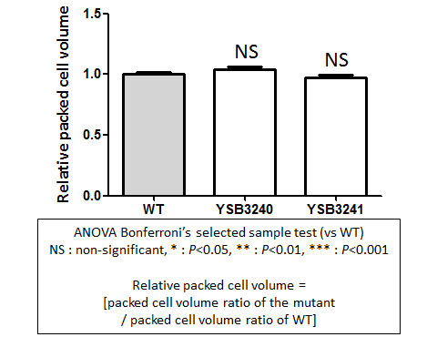 Capsule phenotype for CNAG_06033T0