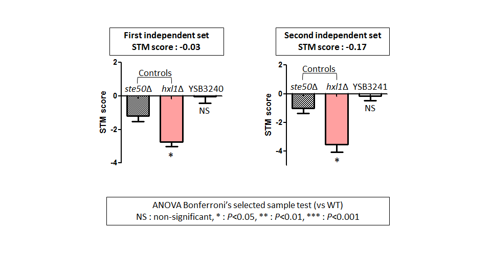 STM murine host model data for CNAG_06033T0