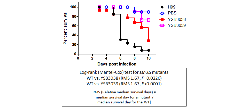 Galleria mellonella virulence data for CNAG_06086T0