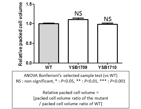 Capsule phenotype for CNAG_06193T0