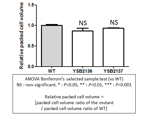 Capsule phenotype for CNAG_06310T0