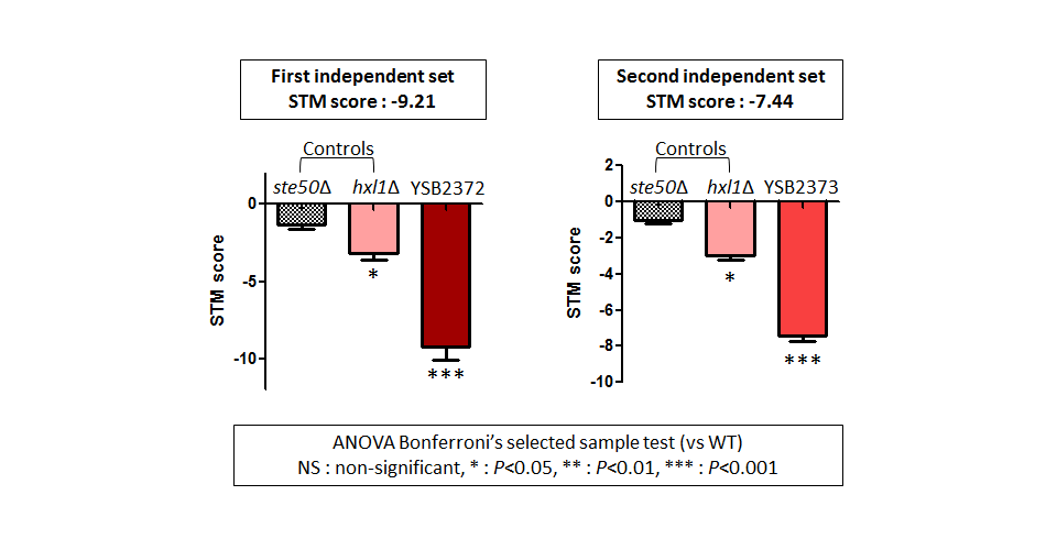 STM murine host model data for CNAG_06552T0
