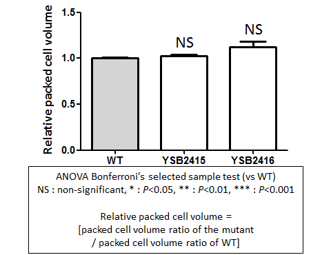 Capsule phenotype for CNAG_06553T0