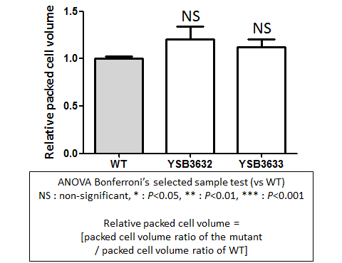Capsule phenotype for CNAG_06697T0