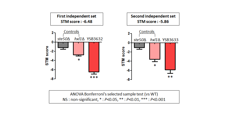STM murine host model data for CNAG_06697T0