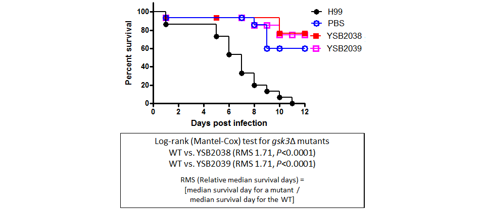 Galleria mellonella virulence data for CNAG_06730T0