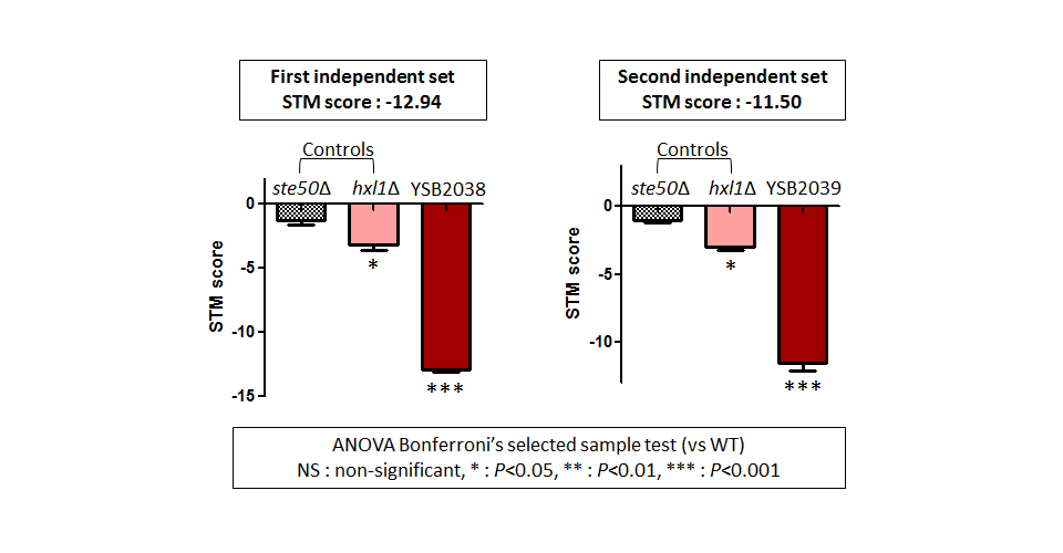 STM murine host model data for CNAG_06730T0